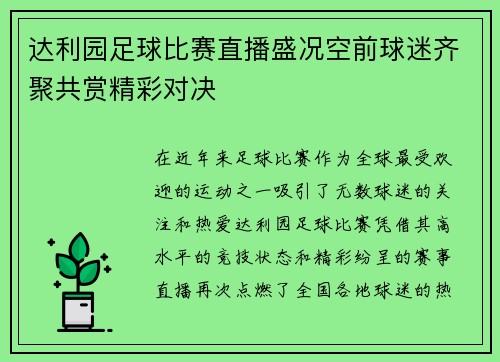 达利园足球比赛直播盛况空前球迷齐聚共赏精彩对决